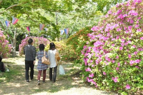 雲井岬つつじ公園