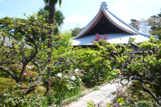 西福院